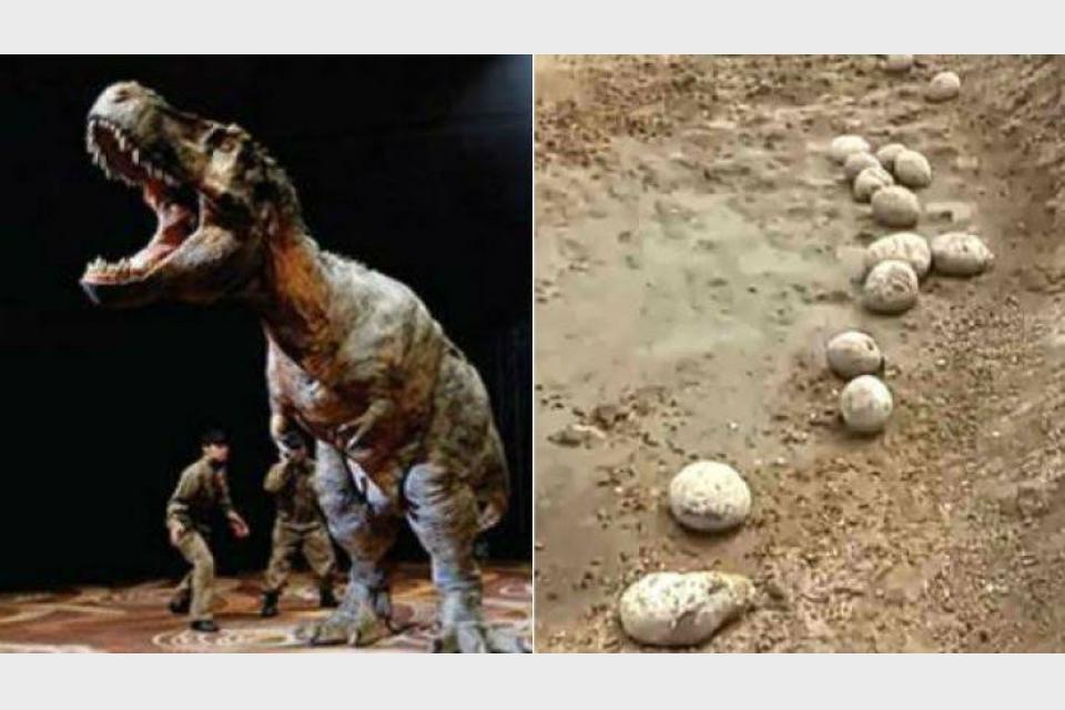 Researchers find 'abnormal' dinosaur eggs in Madhya Pradesh. They have bird-like features