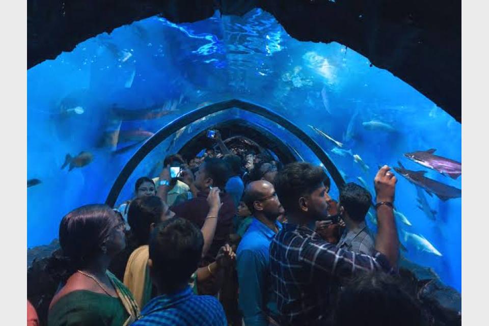 World's first portable 360° panoramic underwater aquarium.