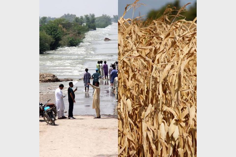 What are ‘Rossby waves’, which may be causing Pakistan’s floods and Europe’s record drought?