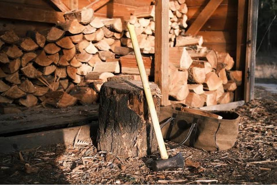 Firewood: the premodern solution to Britain’s energy crisis