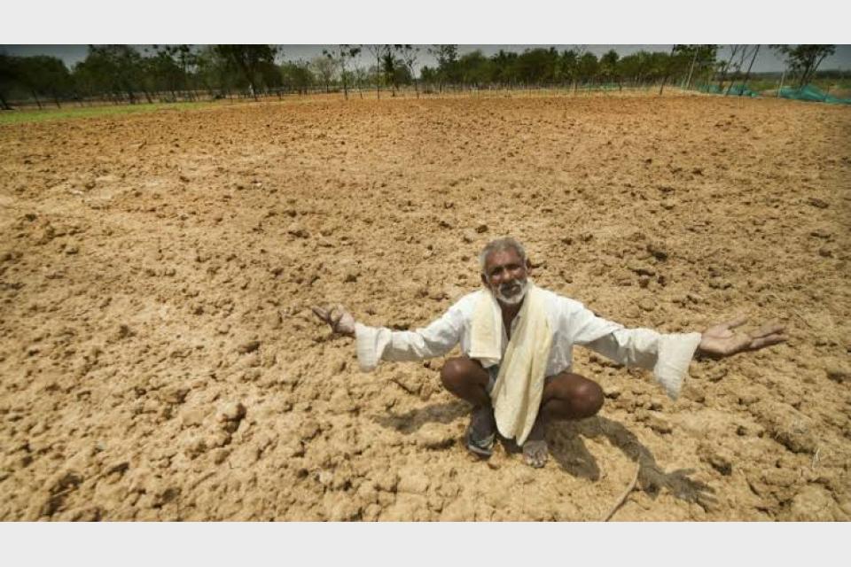 World's food supply faces new threat from lack of rain in India