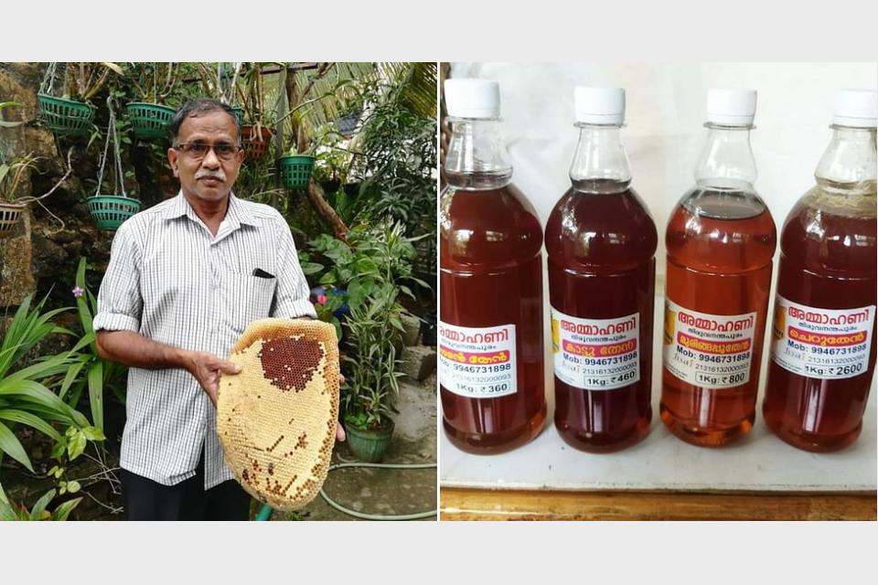 Kerala Mechanic Launches ‘Buzzing’ Business, Harvests 1500 Kg of Organic Honey